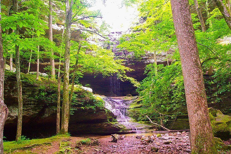 Waterfall at Ferne Clyffe Park / Wikimedia Commons / Curtis Abert
Link: https://commons.wikimedia.org/wiki/File:Ferne_Clyffe_State_Park.jpg