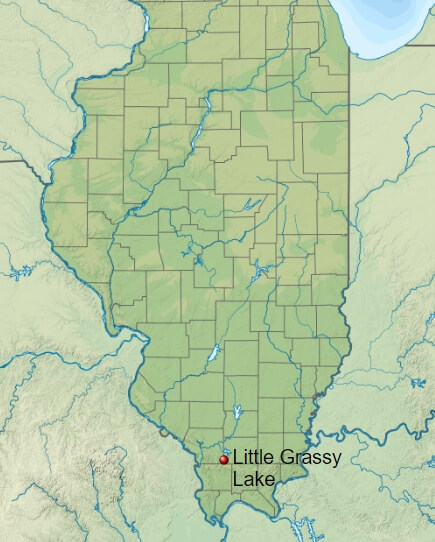 Location of Little Grassy Lake / Wikipedia / SANtosito
Link: https://en.wikipedia.org/wiki/Little_Grassy_Lake_(Illinois)#/media/File:USA_Illinois_relief_location_map.svg