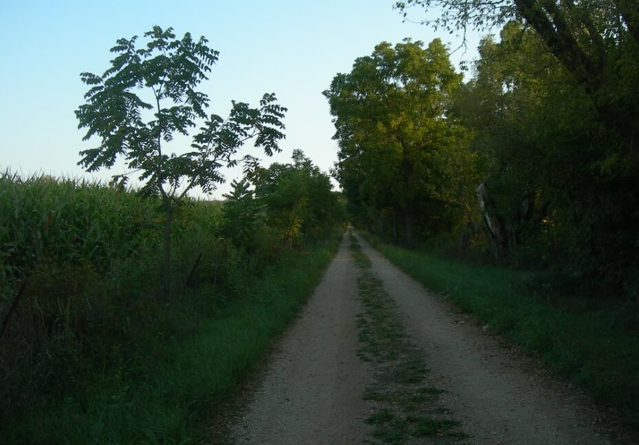The Road to Charles Mound / Flickr / Jimmy Emerson, DVM
Link: https://www.flickr.com/photos/auvet/7955579846