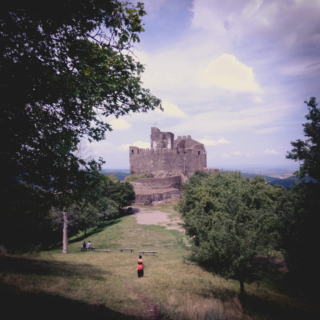 enniscorthy castle tours