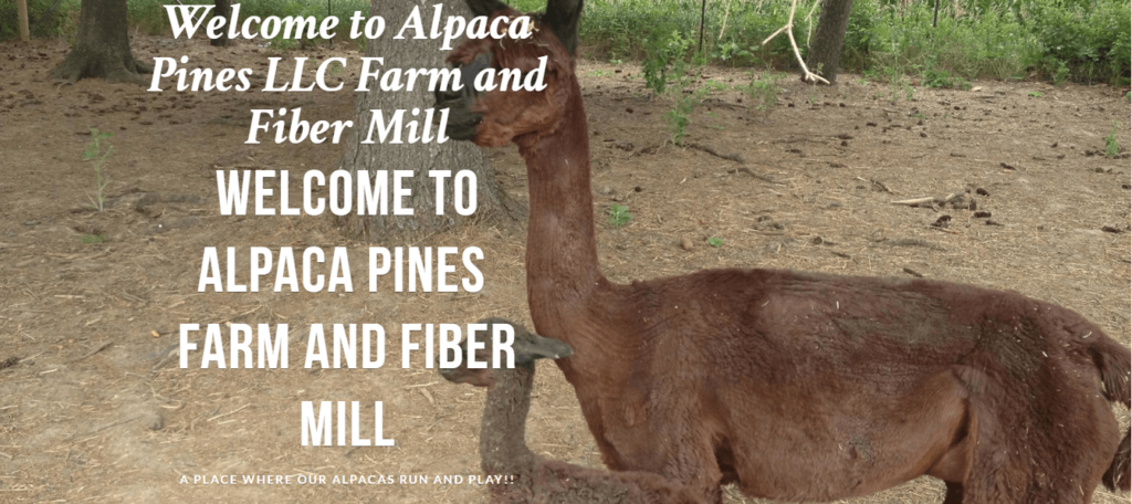 Homepage of Alpaca Pines LLC Farm and Fiber Mill / alpacapines.com

Link: https://www.alpacapines.com/
