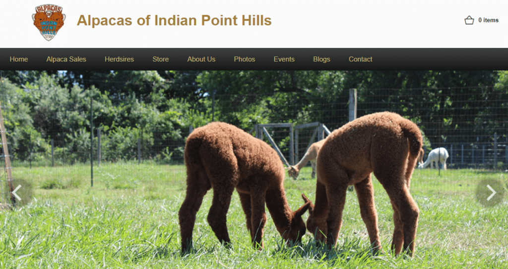 Homepage of Alpacas of Indian Point Hills / alpacasofindianpointhills


Link: https://www.alpacasofindianpointhills.com/
