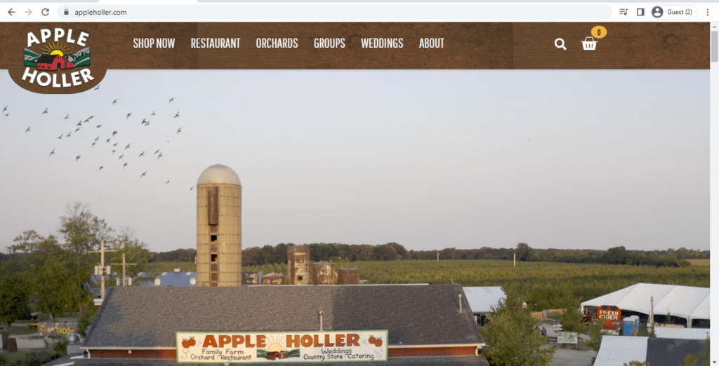 Homepage of Apple Holler 
Link: https://www.appleholler.com/