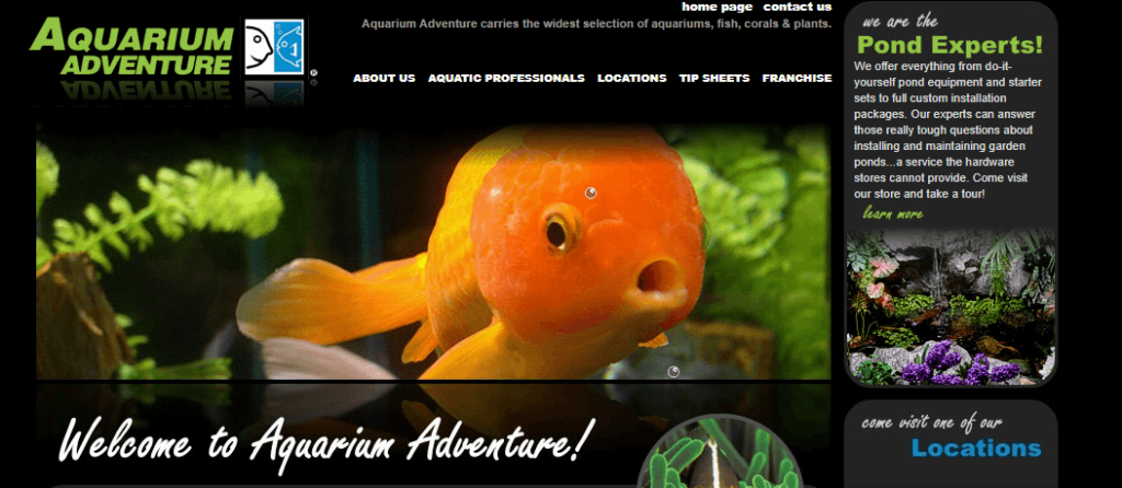 Homepage of Aquarium Adventure / aquariumadventure.com

Link: http://www.aquariumadventure.com/
