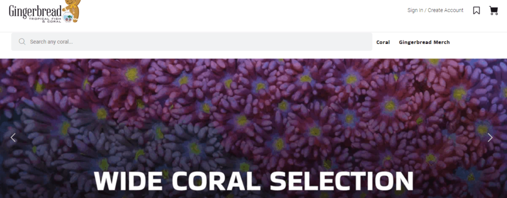 Homepage of Gingerbread Tropical Fish & Coral / gingerbreadcorals.com

Link: https://gingerbreadcorals.com/
