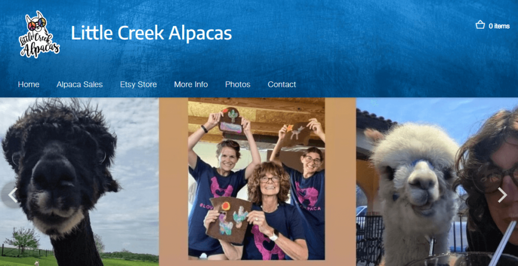 Homepage of Little Creek Alpacas / littlecreekalpacas.com

Link: https://www.littlecreekalpacas.com/
