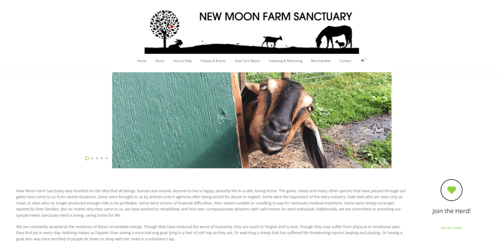 Homepage of New Moon Farm's website / www.newmoonfarm.org