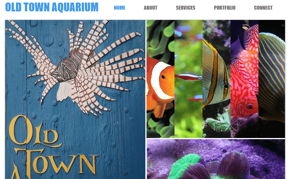 Homepage of Old Town Aquarium / oldtownaquarium.com

Link: https://www.oldtownaquarium.com/
