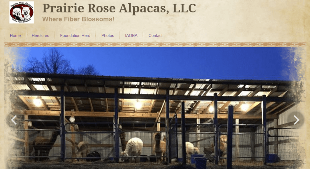 Homepage of Prairie Rose Alpacas / prairierosealpacas.com

Link: https://www.prairierosealpacas.com/
