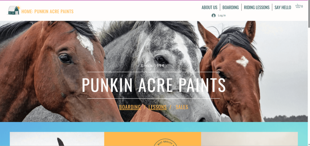 Homepage of Punkin Acre Paints' website / punkinacrepaints19.wixsite.com