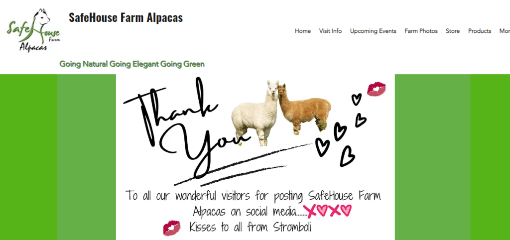 Homepage of SafeHouse Farm Alpacas & Ye Olde Alpaca Shoppe / safehousefarmalpacas.com


Link: https://www.safehousefarmalpacas.com/
