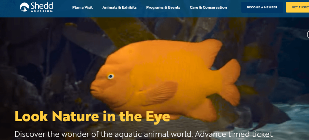 Homepage of Shedd Aquarium / sheddaquarium.org

Link: https://www.sheddaquarium.org/
