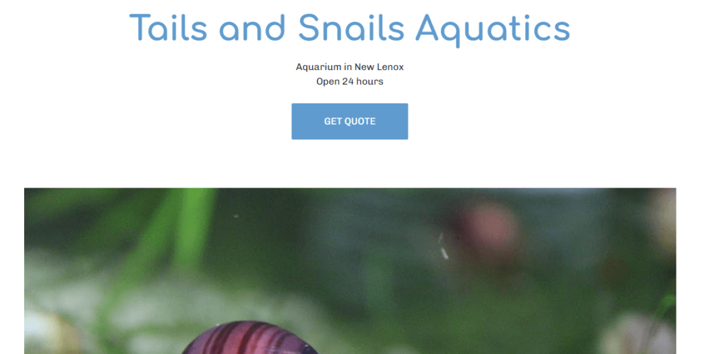 Homepage of Tails and Snails Aquatics / tailsandsnailsaquatics.business.site


Link: https://tailsandsnailsaquatics.business.site/
