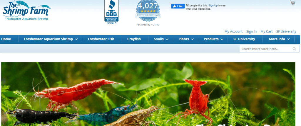 Homepage of The Shrimp Farm / theshrimpfarm.com


Link: https://www.theshrimpfarm.com/
