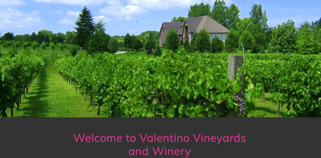 Homepage of Valentino Vineyards & Winery / valentinovineyards.com

Link: https://valentinovineyards.com/
