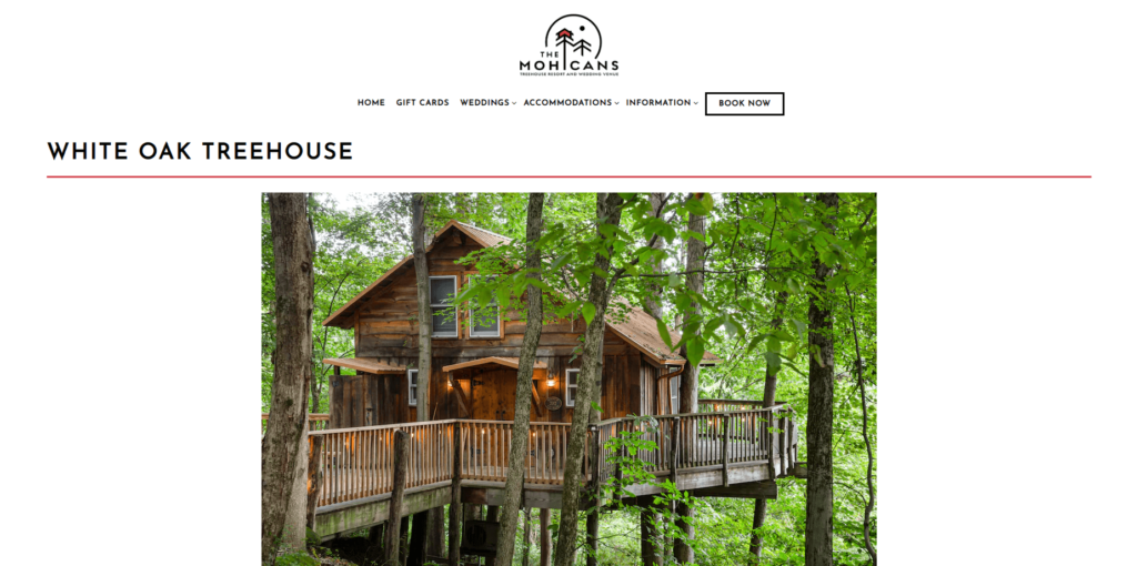 Homepage of White Oak Treehouse's website / www.themohicans.net