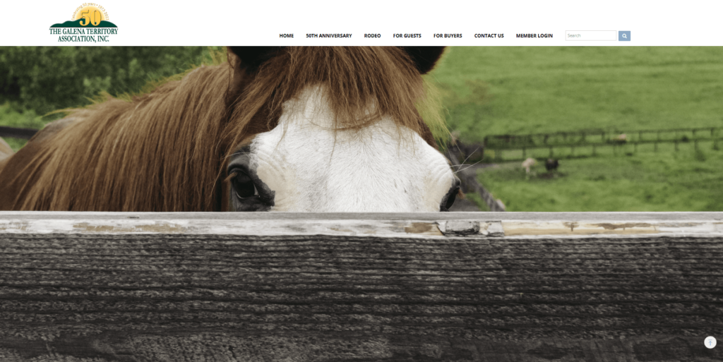 Homepage of the Shenandoah Riding Center's website / www.thegalenaterritory.com

Link: https://www.thegalenaterritory.com/src1