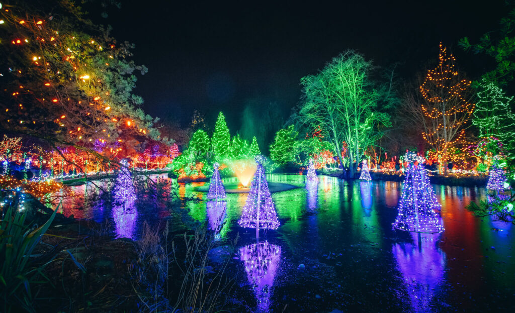 Well-lit Christmas trees at the Festival of Trees / Flickr / Viv Lynch

Link: https://flickr.com/photos/eskimo_jo/39518982442/in/photolist-23da7Ef-Jj9cK2-nb4eMi-2bBq8VG-Jj9Dmn-22b825o-EGBh1b-21ts87T-22Lmu3E-21JmmvY-22gTzuT-5Nfci4-21hya6X-Hkeww2-7mgbt3-21okuLL-27Gnfyu-21TAjS6-21Jm69A-21ts6aX-28MRCCc-EFwaqy-21Jm77C-22NUVic-21ts5Fa-21JmwAC-BtsUrG-BbPw93-aPiicP-22NV3Tn-21trgMv-28CmBGB-21RR9ES-pd1s1V-RequW7-2g3uD7G-91JvY7-dA4JQ6-91JXuY-dwpWuz-21JoFVo-2i1ds7Y-2iW34Pm-91KjUM-91MFVm-21u6Bxg-7k4CjR-dAa8sW-dAaaVQ-2aGwA3o