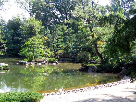 Anderson Japanese Gardens 
Wikimedia Commons
Link: https://commons.wikimedia.org/wiki/File:Anderson_Gardens_0458.jpg