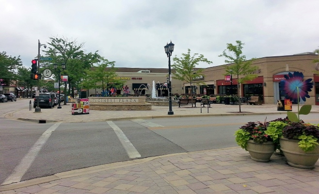 Elmhurst City Center
Wikimedia Commons
Link: https://commons.wikimedia.org/wiki/File:Elmhurst_City_Center.jpg