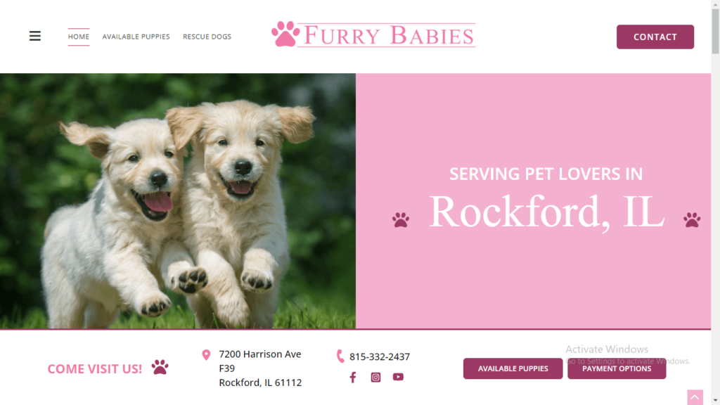 Homepage of Furry Babies Rockford's website / furrybabiesrockford.com