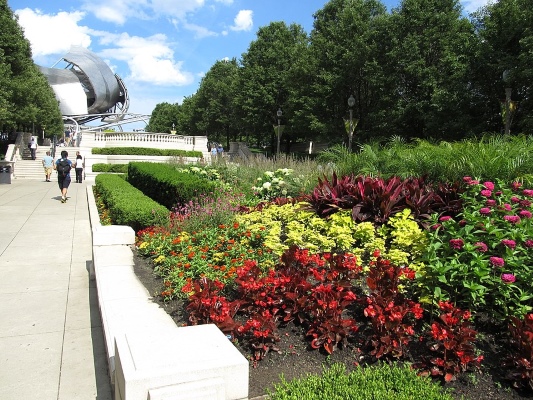 Millennium Park 
Wikimedia Commons
Link: https://commons.wikimedia.org/wiki/File:Millennium_Square,_Chicago,_Illinois_(9181701264).jpg