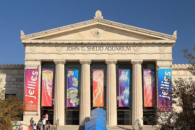 Exterior view of Shedd Aquarium / Wikimedia Commons / Setiawan Soekamtoputra
Link: https://commons.wikimedia.org/wiki/File:Shedd_Aquarium_Front_1.JPG