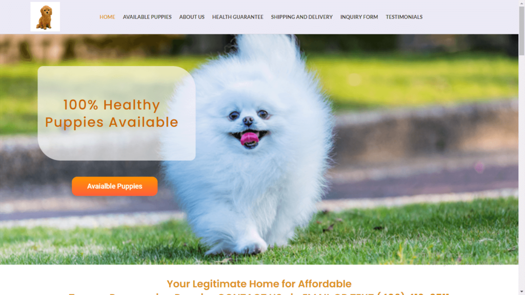 Homepage of Teacup Pomeranian Puppies Pet Store's website / pawsteacuppom.com