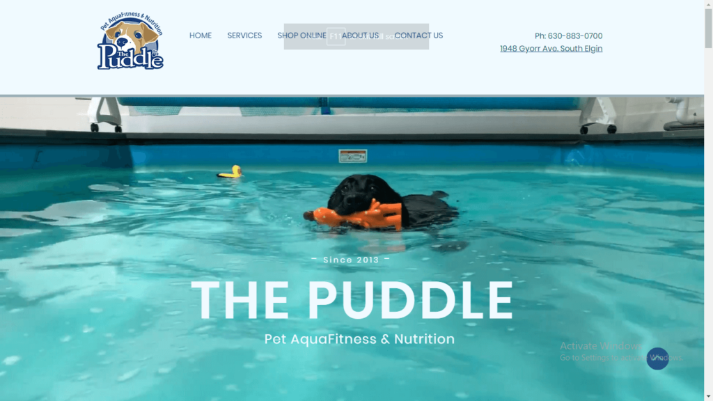 Homepage of The Puddle's website / thepuddleaquafitness.com